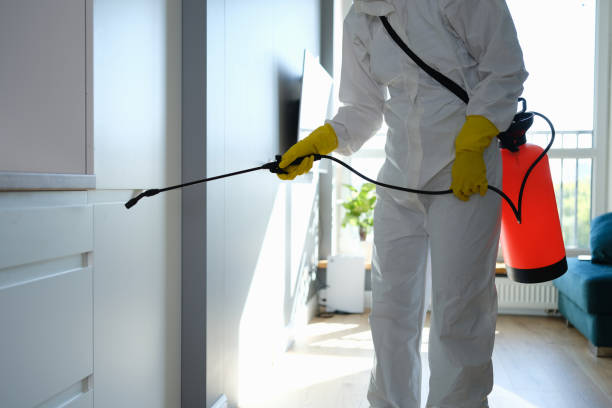 Biohazard Mold Removal in Monticello, GA